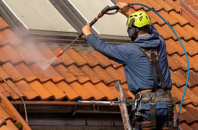 Démoussage et hydrofuge de toiture à Biederthal